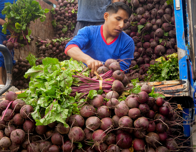 Celebración del Día Mundial de la Alimentación en el Gran Mercado Mayorista de Lima
