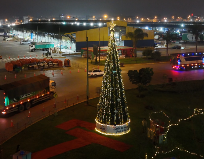 El Gran Mercado Mayorista de Lima Ilumina la Navidad con el Encendido del Árbol Navideño.  “El árbol más grande de los mercados del Perú”