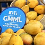 Normal comercialización del mango en el Gran Mercado Mayorista de Lima pese a su sobreproducción