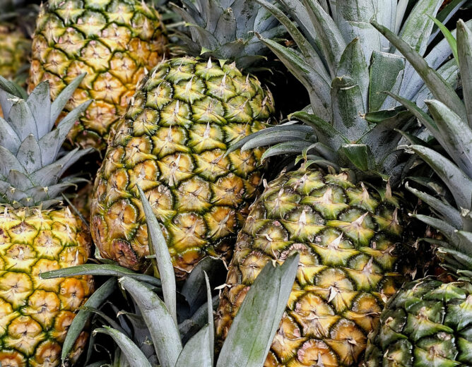 Alimentos de temporada de verano: hidratación y precios accesibles en el Gran Mercado Mayorista de Lima