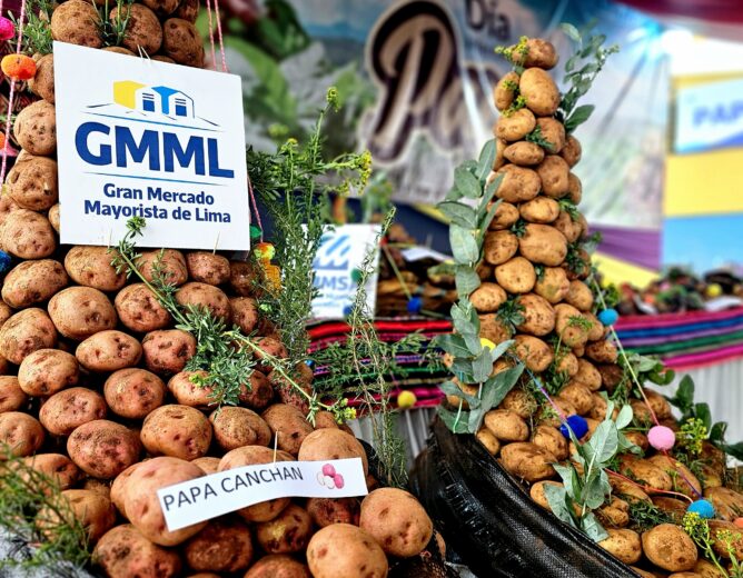 El Gran Mercado Mayorista de Lima celebró con orgullo el Día Internacional de la Papa