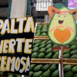 Descubre las frutas que están en temporada en el Gran Mercado Mayorista de Lima
