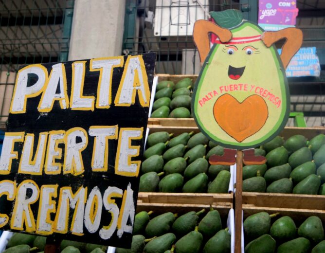 Descubre las frutas que están en temporada en el Gran Mercado Mayorista de Lima