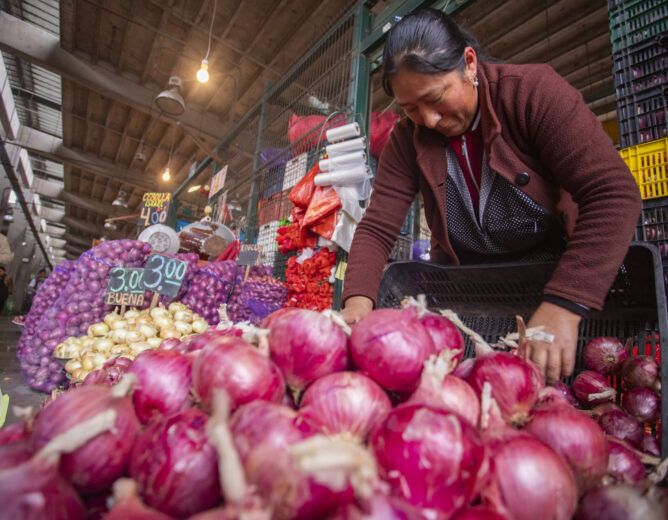 EMMSA conmemora el Día del Campesino destacando su importante labor