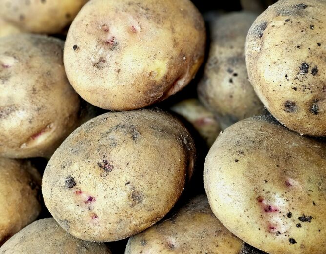 Descubre los platillos más conocidos que puedes preparar con la papa