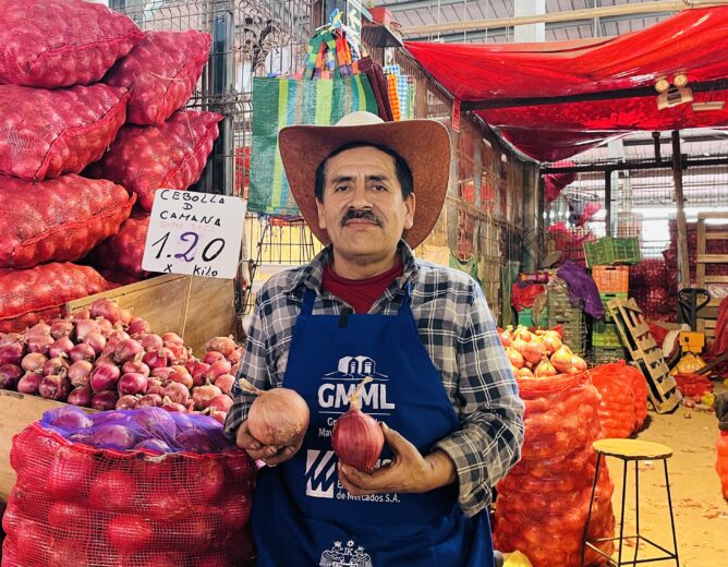 Descubre los datos más importantes de la cebolla en el GMML