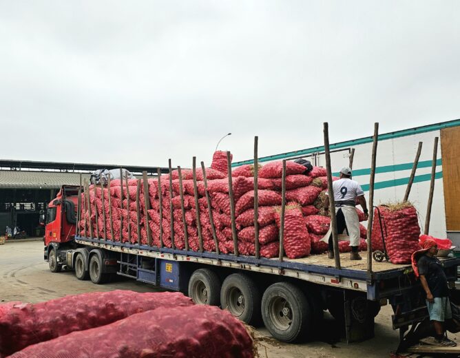 EL GRAN MERCADO MAYORISTA DE LIMA GARANTIZA EL ABASTECIMIENTO DE FRUTAS Y VERDURAS PESE A LAS PROTESTAS EN EL SUR DEL PAÍS