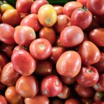 Conoce los tipos y beneficios del tomate en el GMML