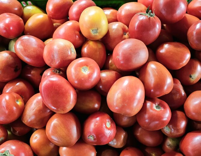 Conoce los tipos y beneficios del tomate en el GMML