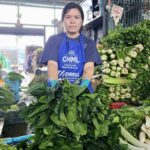 Descubre los beneficios de la espinaca con el Gran Mercado Mayorista de Lima