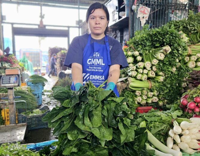 Descubre los beneficios de la espinaca con el Gran Mercado Mayorista de Lima