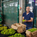 Entérate todo sobre el limón, conocido en la gastronomía peruana como el oro verde