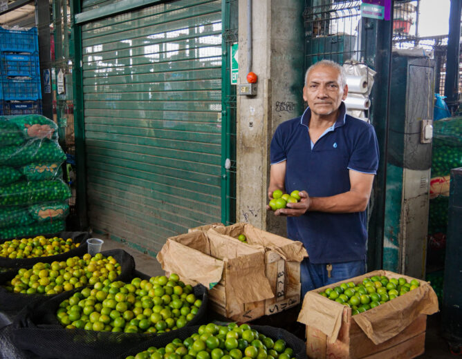 Entérate todo sobre el limón, conocido en la gastronomía peruana como el oro verde
