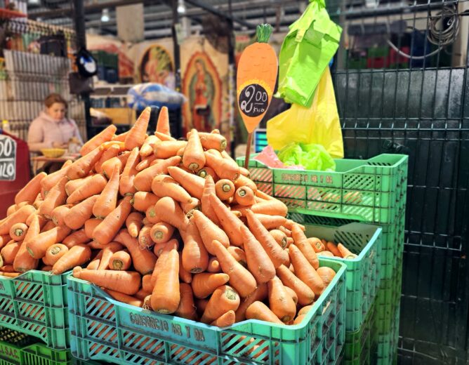 Todo lo que necesitas saber de la zanahoria en el Gran Mercado Mayorista de Lima