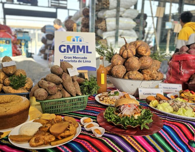 Celebración con sabor peruano: El camote cumple nueve años en el Gran Mercado Mayorista de Lima