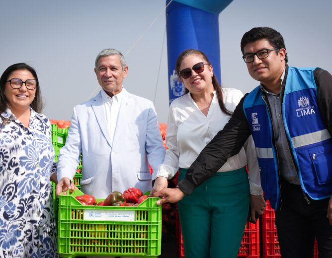 Municipalidad Metropolitana de Lima lidera el “Canastón Navideño GMML 2025” con más de 50 toneladas de alimentos para ollas comunes