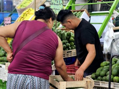 DÍA DE LA PALTA FOTO 4