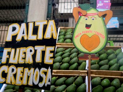 Día de la palta FOTO 2