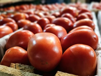 FOTO 2 TOMATE