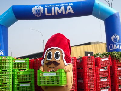 FOTO 3 CANASTÓN NAVIDEÑO