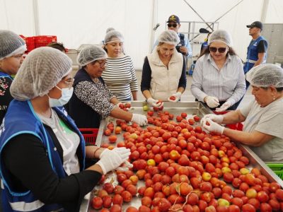 WhatsApp Image 2025-11-12 at 2.10.06 PM