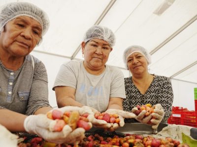 WhatsApp Image 2025-11-12 at 2.10.40 PM